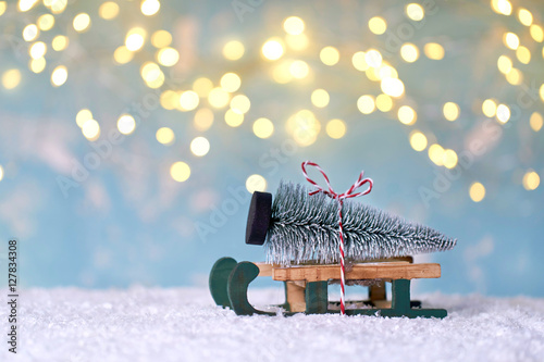Weihnachtsbaum mit dem Schlitten aus dem Wald holen photo