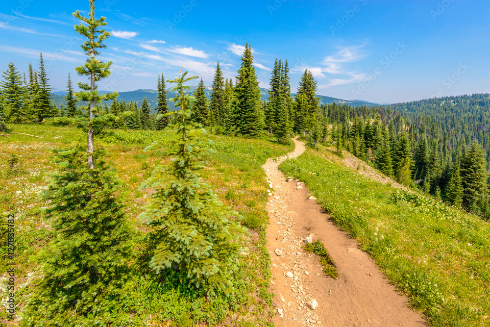 Obraz premium Beautiful Mountain Trail. Blackwall Peak Trail at Manning Park in British Columbia. Canada.