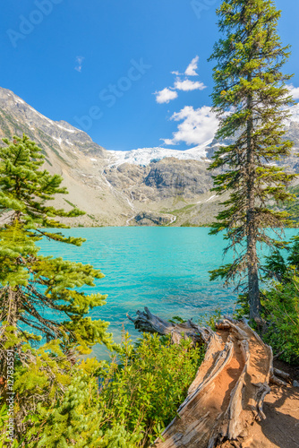 Majestic mountain lake in Canada. Upper Joffre Lake Trail View.