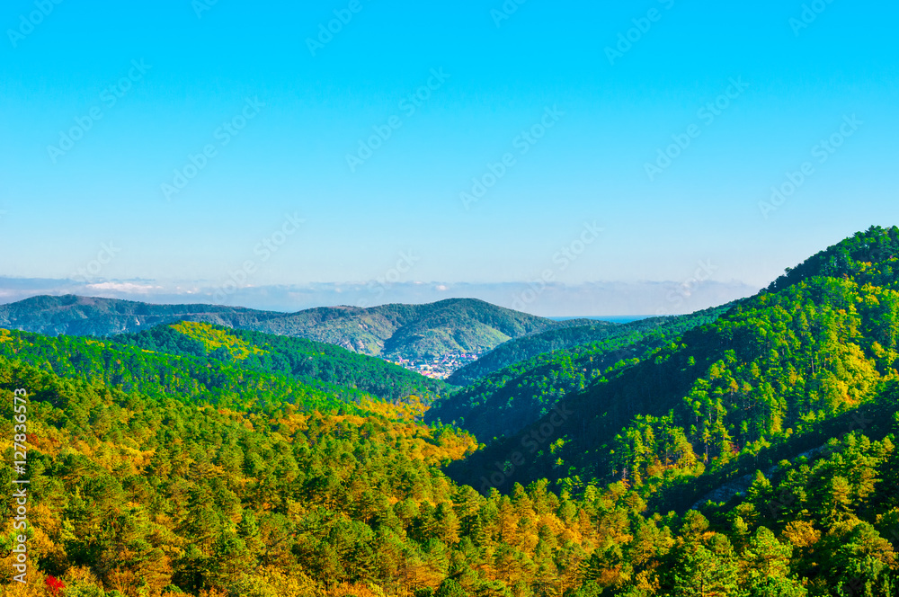 Beautiful mountain forest in autumn