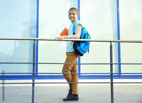 Cute schoolboy with books o...