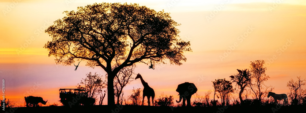 African Safari Silhouette Banner - obrazy, fototapety, plakaty 