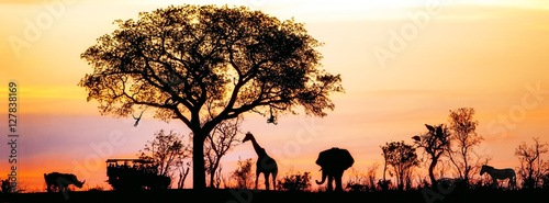 African Safari Silhouette Banner