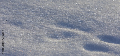 Beautiful isoalted picture of a sunny white snow with the footprints