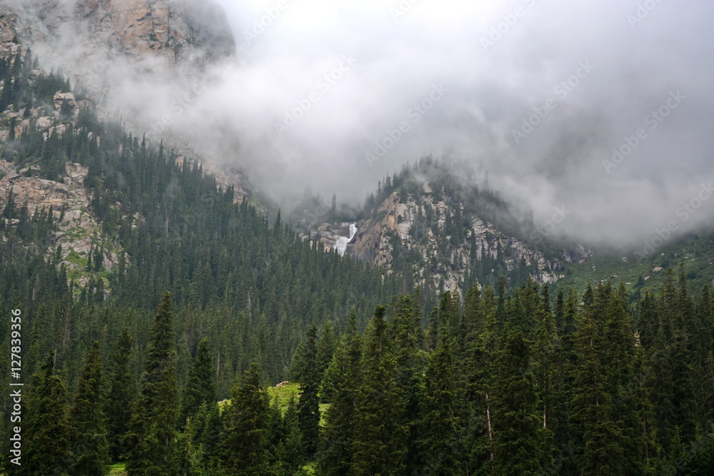 Горы и лес покрытые тманом