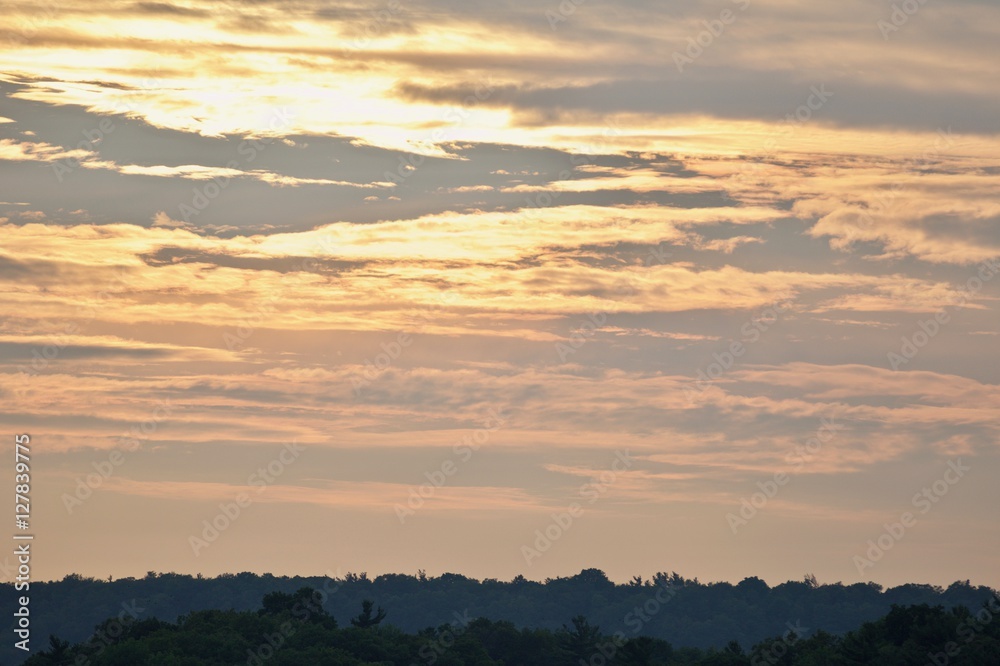 Beautiful isolated picture of a sunset and the forest Beautiful isolated picture of a sunset and the forest