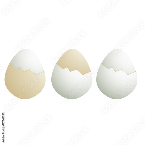 White and brown egg shells
