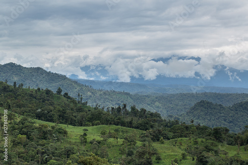 Weideland grenzt an Nebelwald, nordwestlich von Quito; Ecuador 