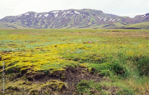 Landschaft im Gebiet Landmannalaugar an der Piste Landmannaleið/ Landmannaleid,  Suðurland, Island, Europa photo