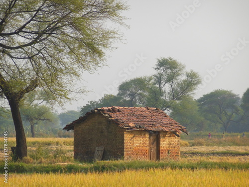 Indian village hut