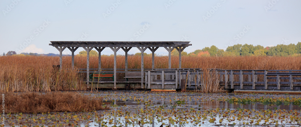 Pagoda along a boardwalk through a marsh in autumn