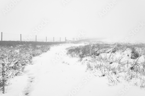 Bild auf Leinwand Snow Bound