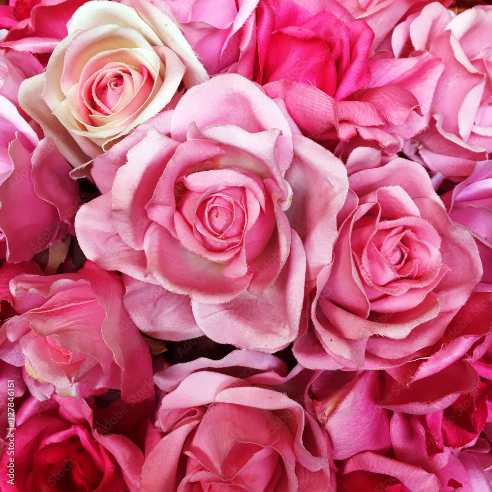 Rose red and pink paper Rose red and pink paper
