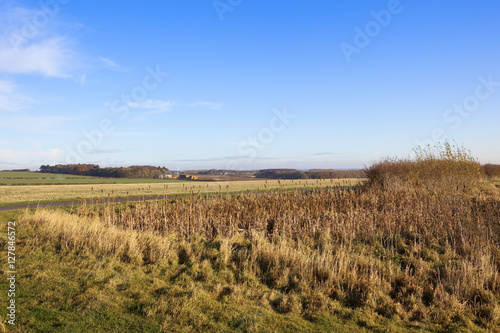 yorkshire wolds farming scenery