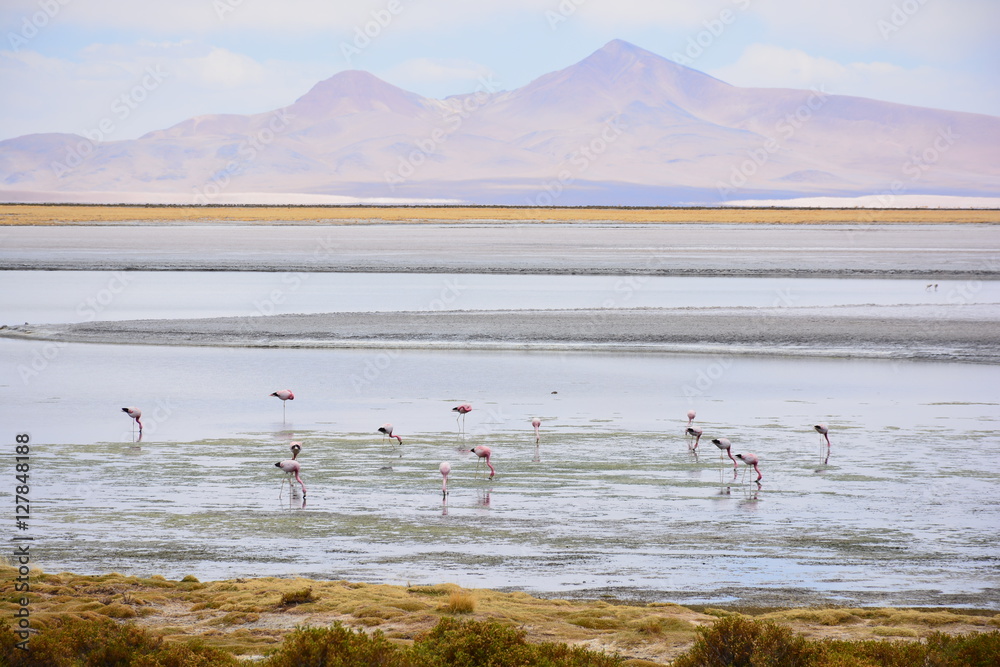 Landscape at Atacama desert in Chile