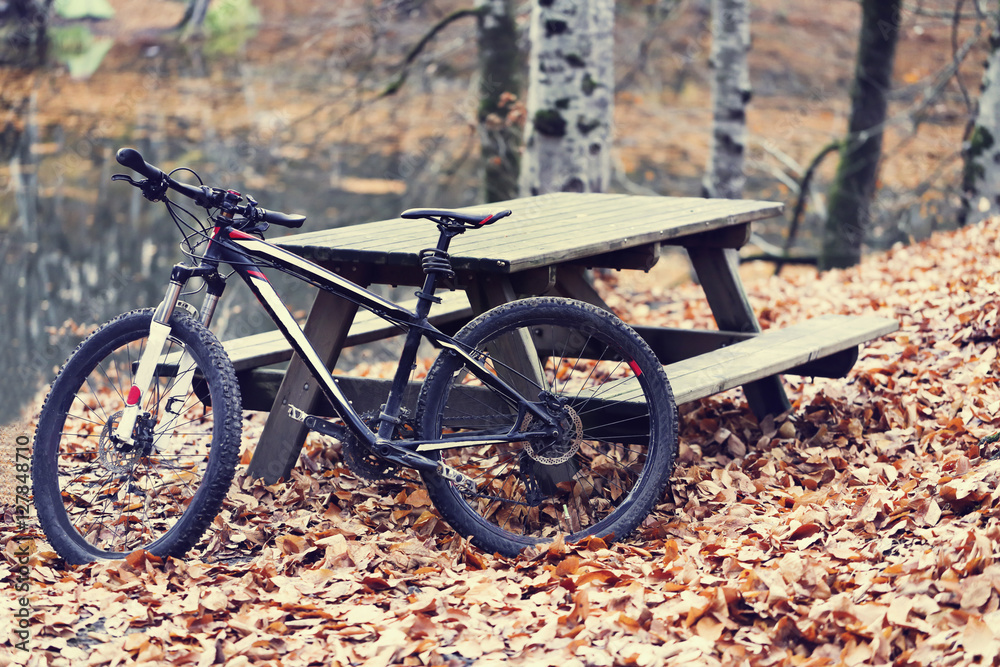 Fototapeta premium bike on the forest path
