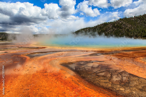 Forests and geysers in Yellowstone.
