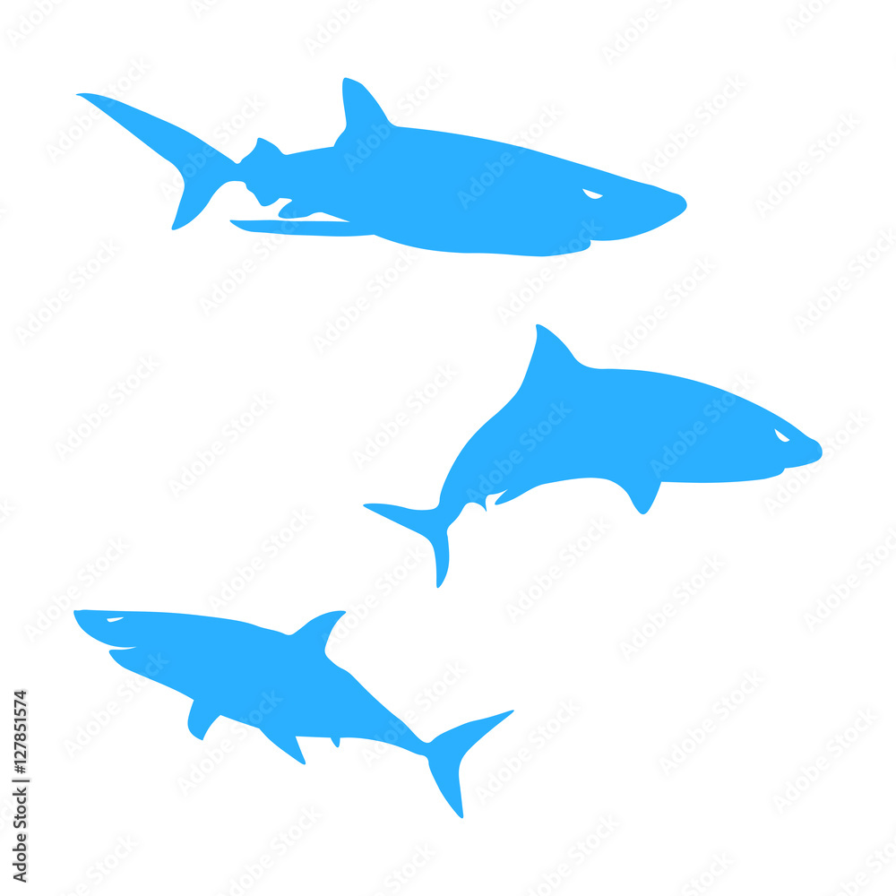 Obraz premium Shark icon vector illustration