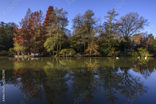 beautiful nature in arbetorum botanical garden