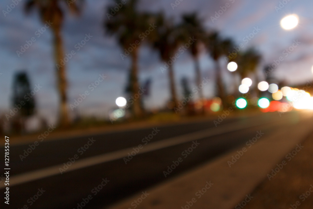 Blurred Palm Trees at Dusk
