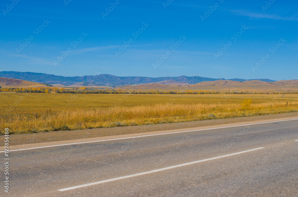 road among fields