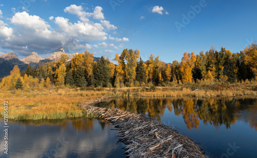 Beaver Dam
