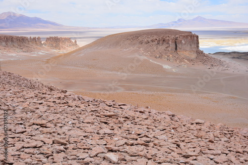 Landscape in Atacama Chile