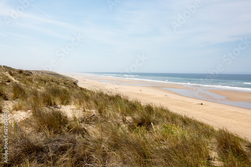 Fototapeta Naklejka Na Ścianę i Meble -  Beach, sand and blue sky in a wild ocean