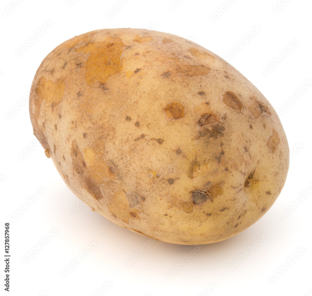 new potato tuber isolated on white background cutout new potato tuber isolated on white background cutout
