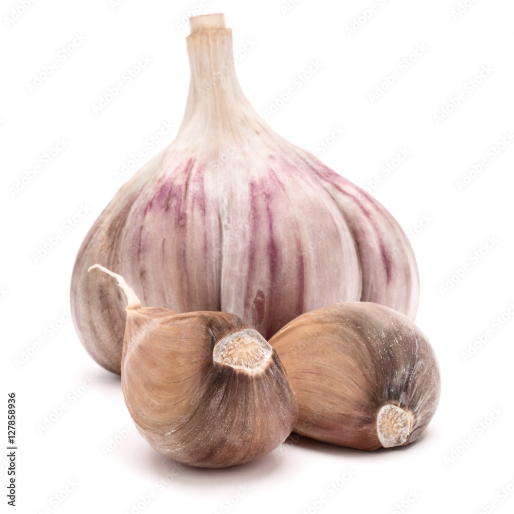 Fototapeta premium Three garlic cloves isolated on white background cutout
