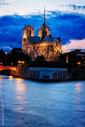 Notre Dame cathedral at sunset, Paris, France toned