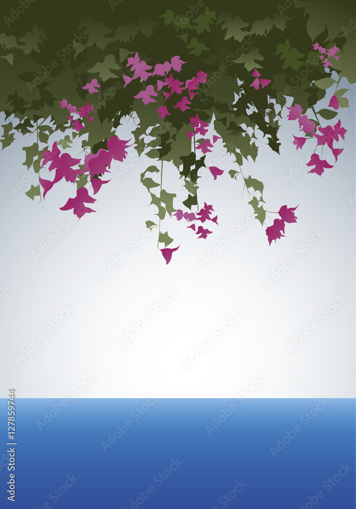 Bougainvillea flowers. View to the sea. Vector Illustration. Layered.