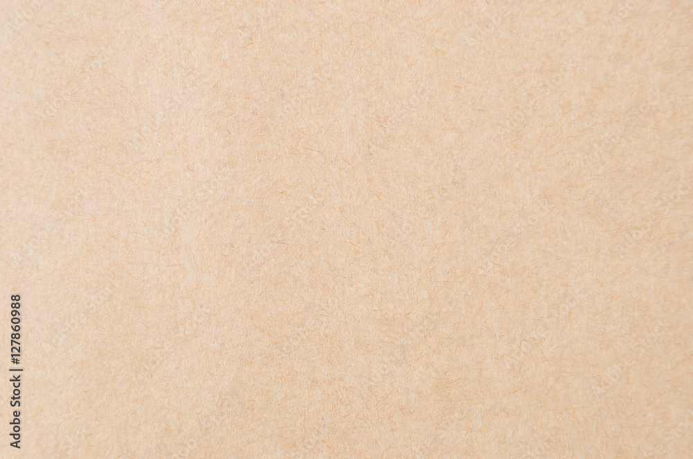 Fototapeta premium Cardboard paper background