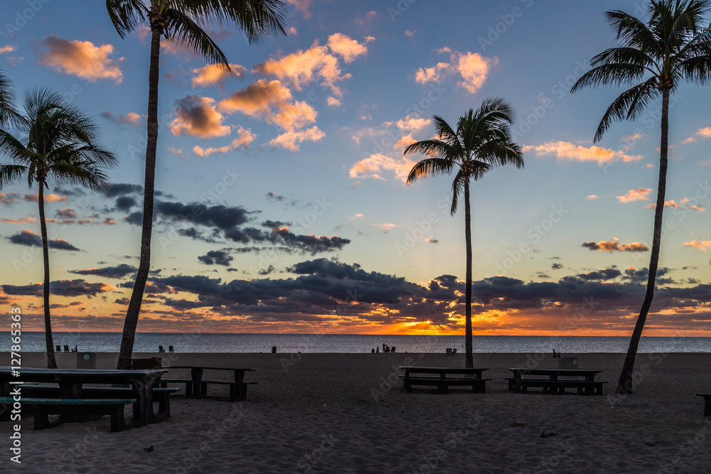 Fototapeta premium Palm trees and Dramatic sunrise/Palm trees silhouette on paradise sunset with beautiful clouds.