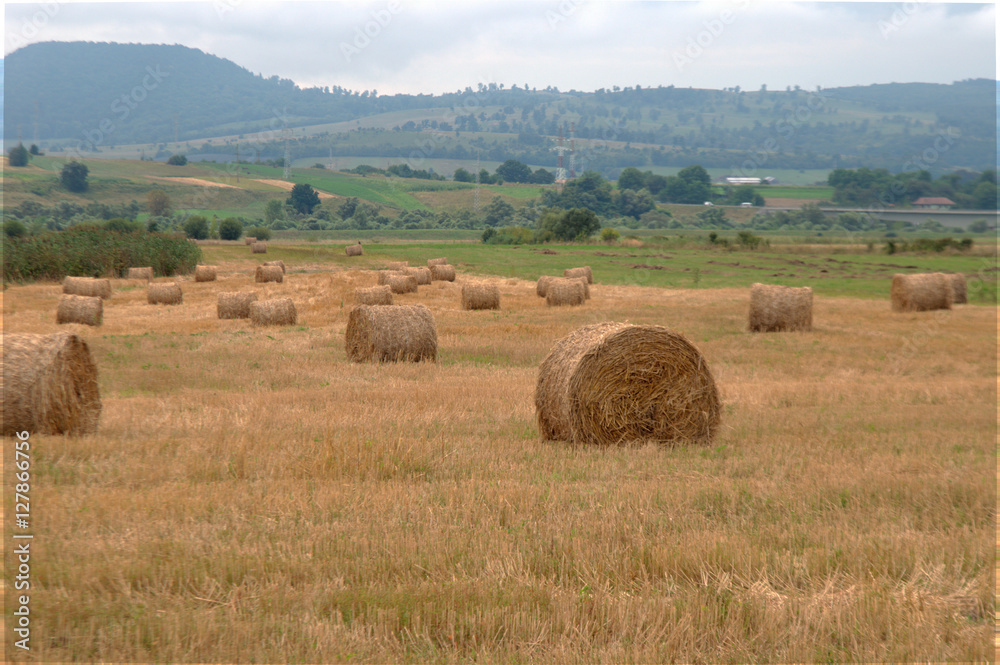Countryside hay bales