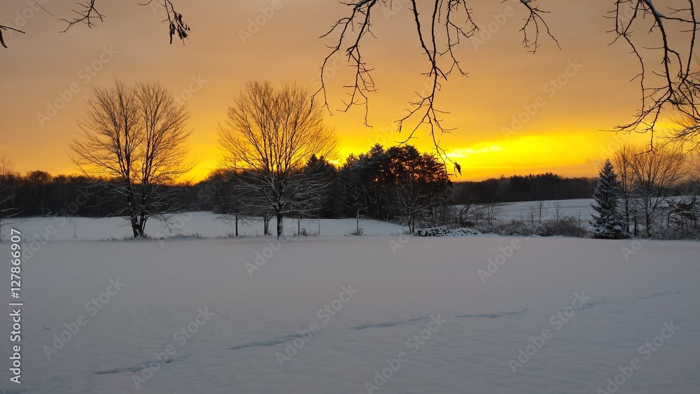 Yellow sunrise over Snow covered country on winter morning