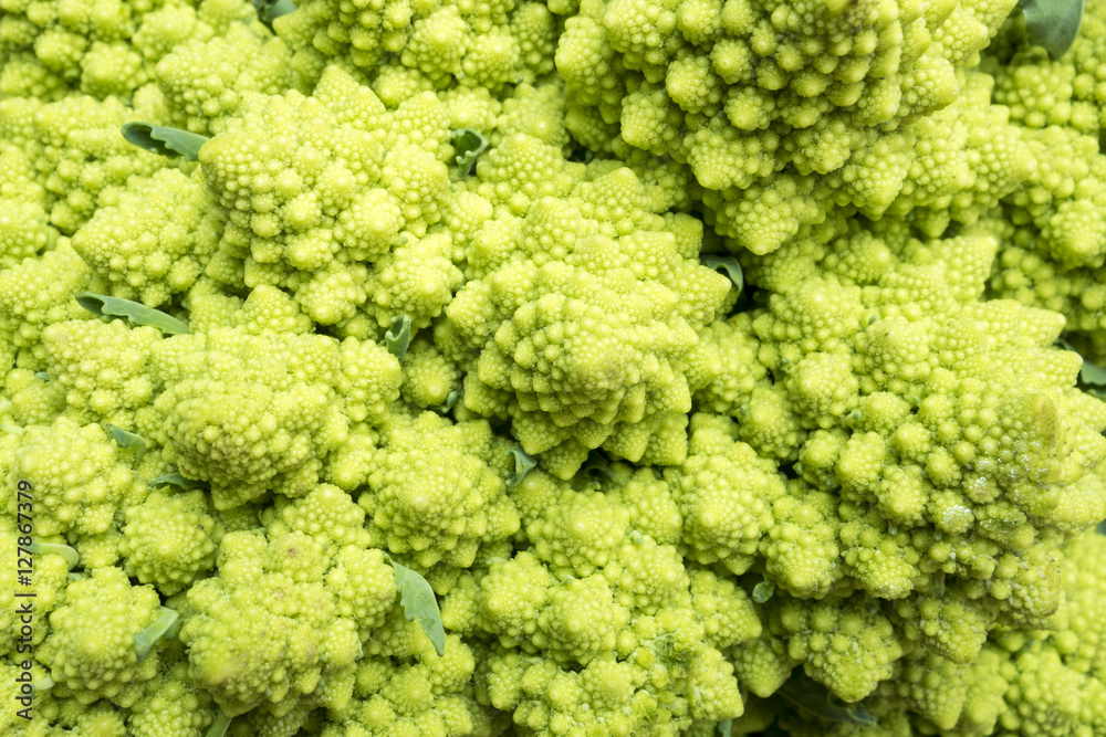abstract full frame background with a romanesco cauliflower closeup abstract full frame background with a romanesco cauliflower closeup