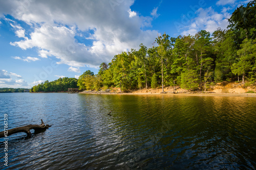 Lake Wylie, at McDowell Nature Preserve, in Charlotte, North Car