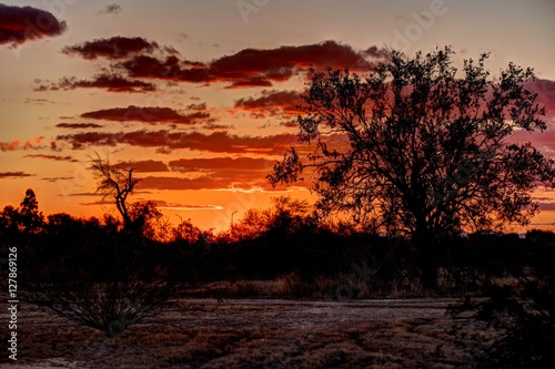 Red Sky Sunset