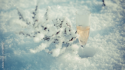 A glass of champagne in the snow on top of a mountain with snowy plant