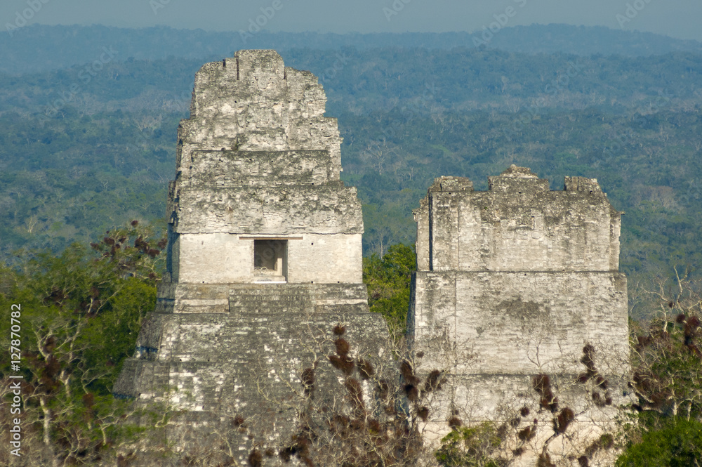 Tikal pryramid mayan guatemala forest peten beautiful nature old travel history historic park stone religion national ruin civilization archeology native rain jungle travel oxygen