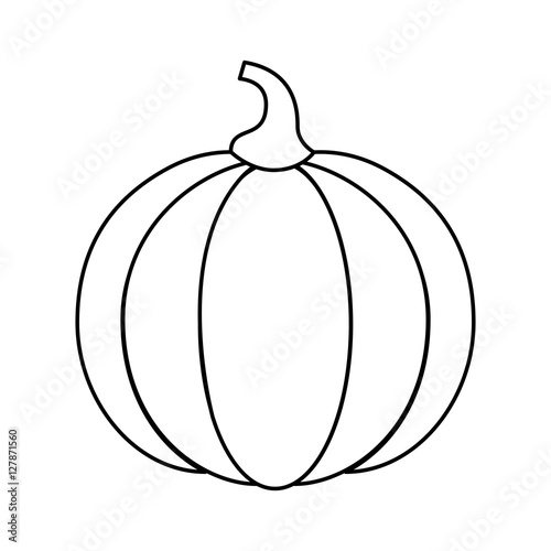 pumpkin thanksgiving food icon vector illustration design