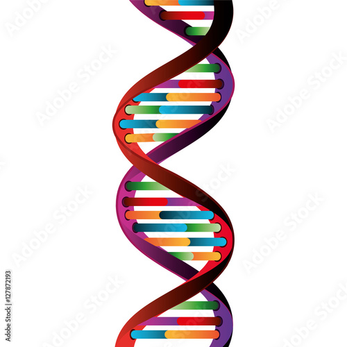 Molecular structure of DNA vector illustration design