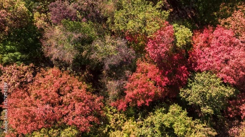 Panoramic Shot Of Colorful Forest During Autumn Season Nature Tree Mountain Aerial 4K Foliage Beautiful Sunny Travel Heavenward Red photo