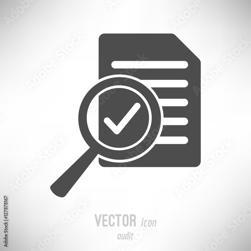 Flat audit icon