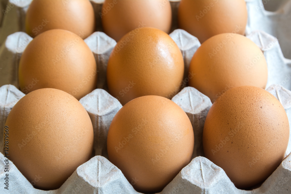 close up eggs from chicken in the package close up eggs from chicken in the package
