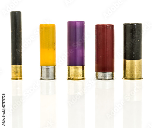 Quadro su tela Different shotgun calibers