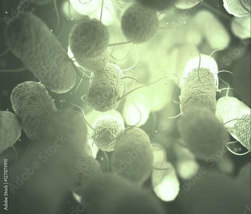 Canvas Print Enterobacteriaceae: large family of Gram-negative bacteria that includes many of the more familiar pathogens, such as Salmonella and Escherichia coli