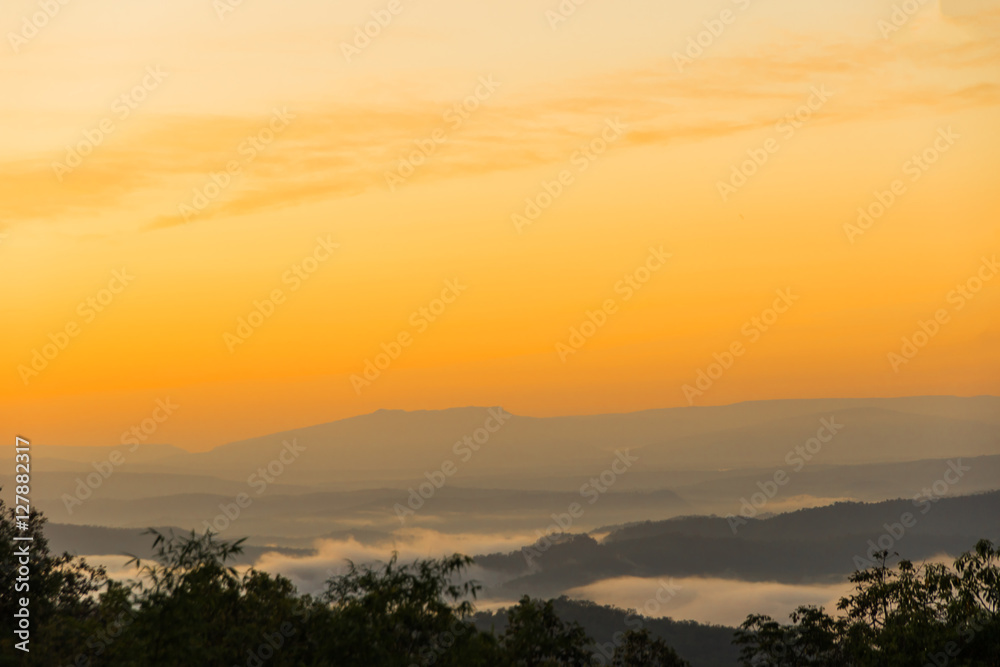 foggy sunrise landscape
