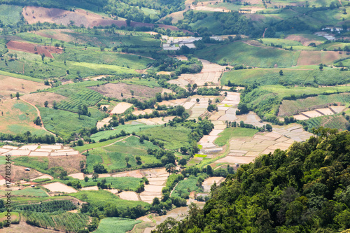 farm on hills